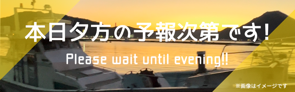 未定