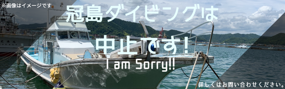 中止